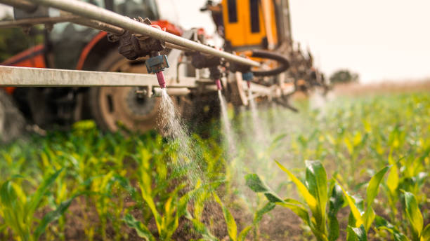 Pest Control Cost in Lake Stevens, WA